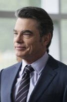 Peter Gallagher The actor poster of Peter Gallagher