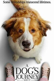A dog's journey The movie poster of A dog's journey